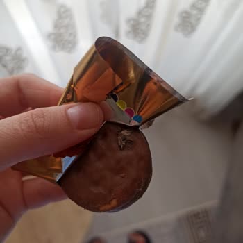 Halley Mini Pakette Böcek Şoku: Çocuklarımızın Sağlığı Tehlikede