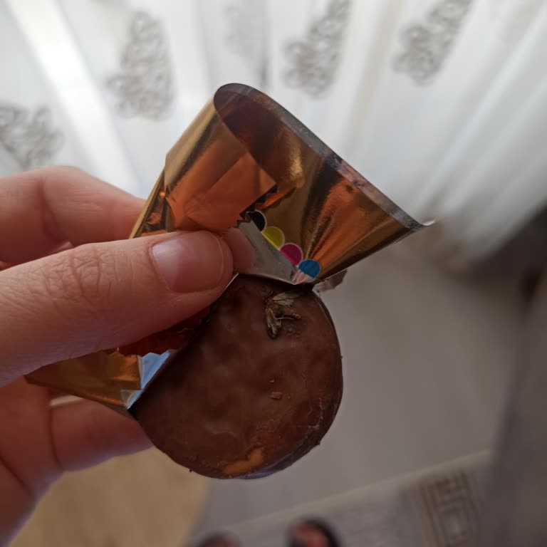 Halley Mini Pakette Böcek Şoku: Çocuklarımızın Sağlığı Tehlikede