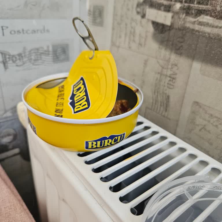 Burcu Gıda Meksika Fasulyeli Tavuk Salatası Beklenmedik Şekilde Kötü Çıktı