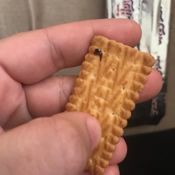 Haylayf Bisküvisinde Yabancı Madde Ve İlgisiz Müşteri Hizmetleri