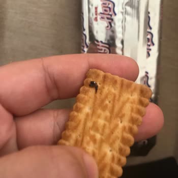 Haylayf Bisküvisinde Yabancı Madde Ve İlgisiz Müşteri Hizmetleri