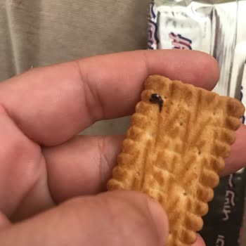 Haylayf Bisküvisinde Yabancı Madde Ve İlgisiz Müşteri Hizmetleri