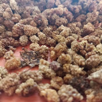 Aldığım Dut Kurusu Taş Ve Pislik İçeriyor, Ücret İadesi Talep Ediyorum