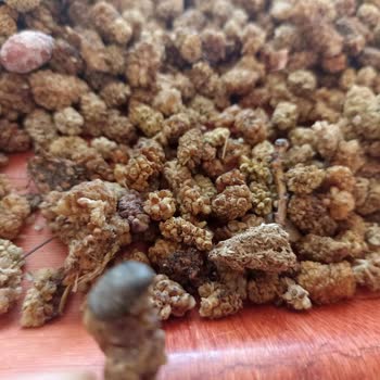 Aldığım Dut Kurusu Taş Ve Pislik İçeriyor, Ücret İadesi Talep Ediyorum