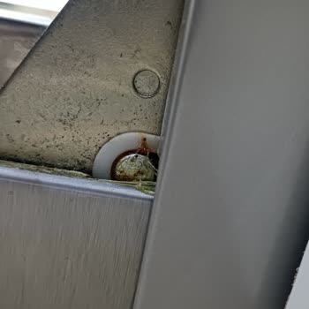 Bosch Bulaşık Makinesi Kapak Ve Menteşe Bölgesinde Garanti Kapsamında Paslanma Sorunu