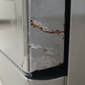 Bosch Bulaşık Makinesi Kapak Ve Menteşe Bölgesinde Garanti Kapsamında Paslanma Sorunu