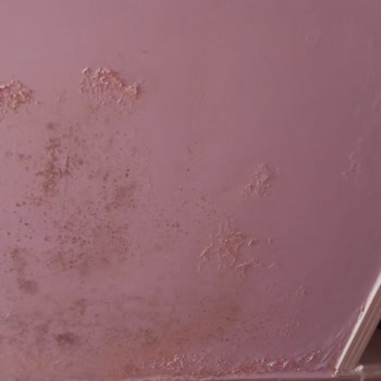 Konut Sigortasında Su Kaçağı Hasarı Sonrası Uzun Süren Çözüm Bekleyişi