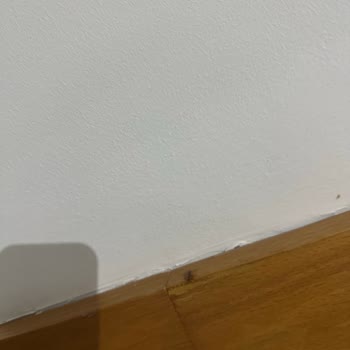 Otel Odasında Böcek Sorunu Ve Tatilbudur'dan Yetersiz Destek