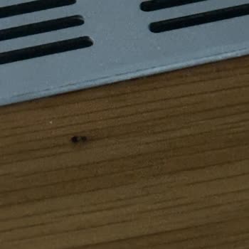 Otel Odasında Böcek Sorunu Ve Tatilbudur'dan Yetersiz Destek