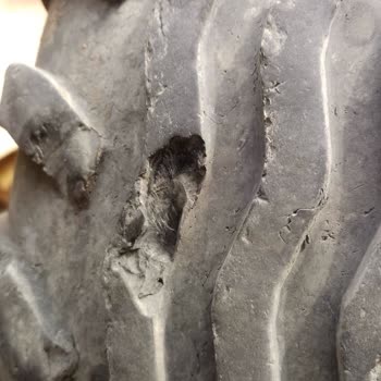 Aldığım Su Tankeri İki Kez Patladı, Satıcı İlgilenmedi