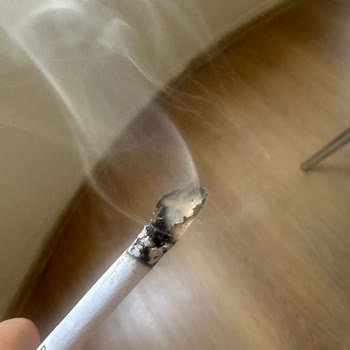 Chesterfield Sigara Kalitesi Dibe Vurdu, Paramızla Rezil Oluyoruz!