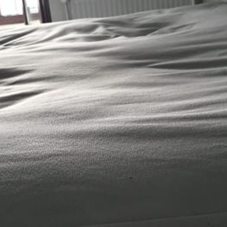 Yatakta Çökme Sorunu Ve İade Reddi: Sağlığımız Tehlikede