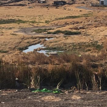 Küçükköy'de Günlerdir Çözülemeyen Kanalizasyon Sorunu