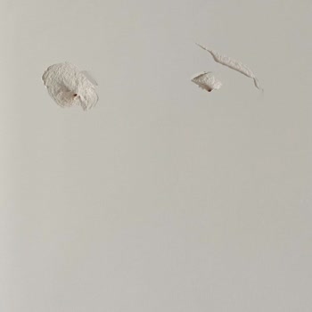 Montaj Sırasında Duvarıma Verilen Hasar Giderilmiyor, Çözüm Bekliyorum