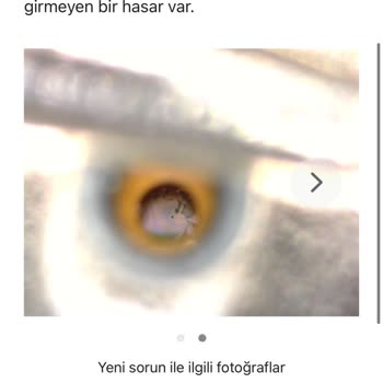 Garanti Kapsamında Olmasına Rağmen Cihazıma Ücretli Onarım Talebi