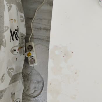 Aldığım Kefir Bozuk Çıktı, Patladı Ve Evim Kirlendi