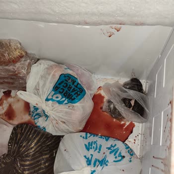 Derin Dondurucu Arızası Nedeniyle Maddi Ve Manevi Mağduriyet