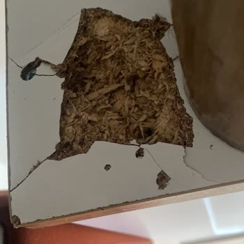 Satın Aldığım Mobilyalarda Kalite Ve Teslimat Sorunları, Mağaza Çözüm Sunmuyor