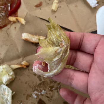 Burger King'den Gelen Siparişlerde Taze Olmayan Marul Sorunu Ve Ücret İade Talebi