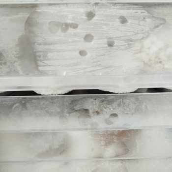 Derin Dondurucuda Sürekli Karlanma ve Yetersiz Servis Deneyimi