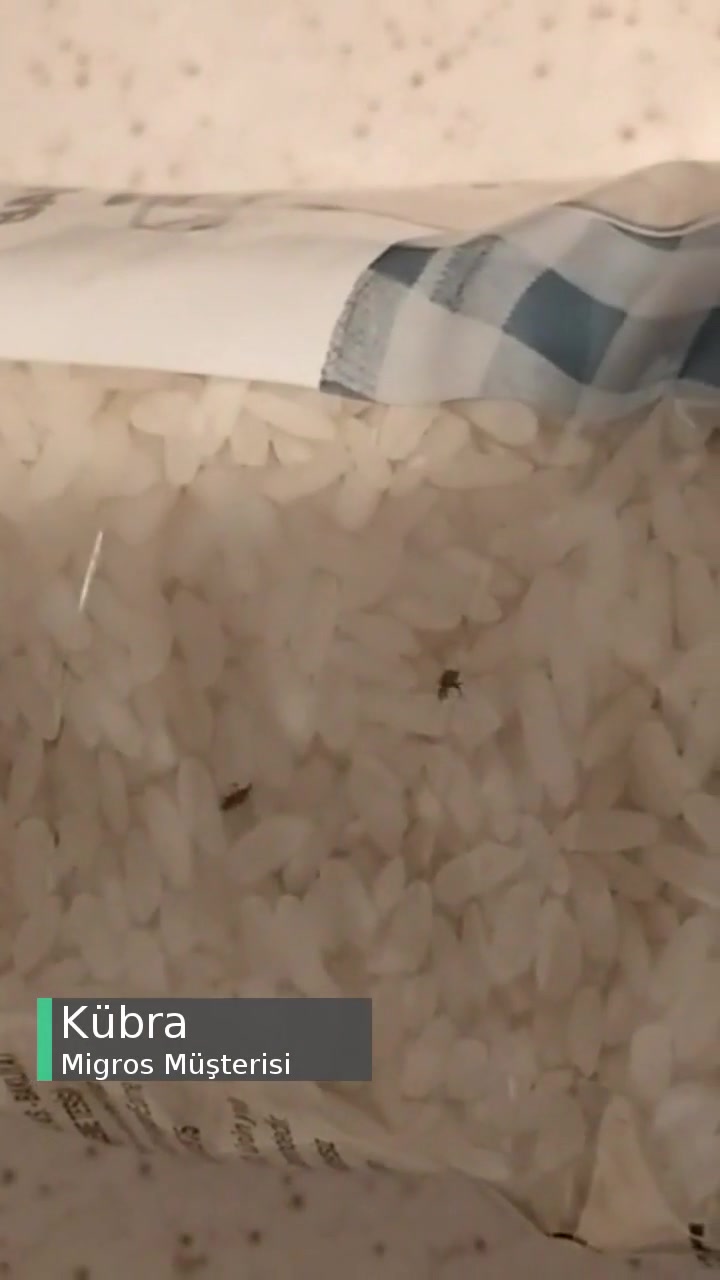 Migros Baldo Pirinç Böceklerle Dolu! videonun kapak resmi