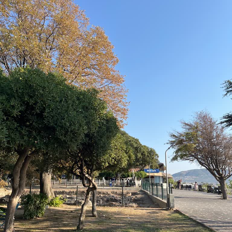 Rose Cafe'de Fahiş Çay Fiyatları Ve Fiyat Bilgilendirmesi Eksikliği