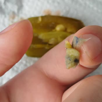 A101'den Aldığım Biber Turşusunda Yabancı Cisim Çıktı, Sağlığım Ve Güvenim Sarsıldı