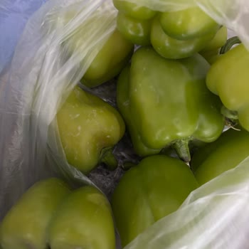 Migros Sanal Marketten Gelen Sebze Ve Meyveler Çürük Ve Kalitesizdi