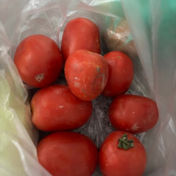 Migros Sanal Marketten Gelen Sebze Ve Meyveler Çürük Ve Kalitesizdi