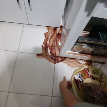 Vestel Buzdolabı Sürekli Arıza Veriyor Ve Mağduriyetim Giderilmiyor