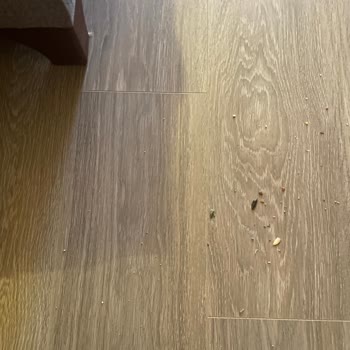 Philips Süpürge Çekim Gücü Sorunu Ve Çözüm Beklentisi