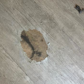 Kötü Hijyen, Hizmet Eksikliği Ve Ödenmeyen İade Nedeniyle Mağduriyet Yaşadım