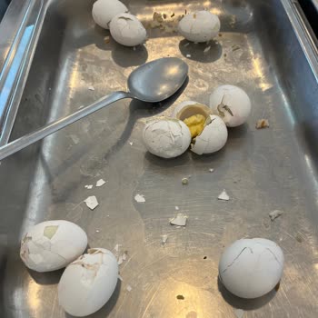 Kötü Hijyen, Hizmet Eksikliği Ve Ödenmeyen İade Nedeniyle Mağduriyet Yaşadım