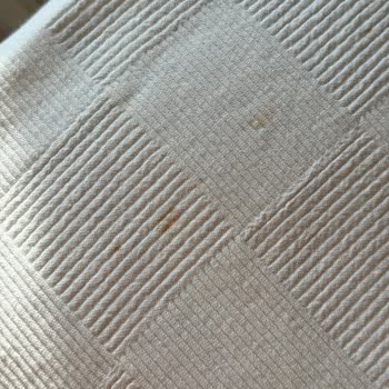 Seven For Life Thermal Hotel'de Temizlik ve Hizmet Sorunları