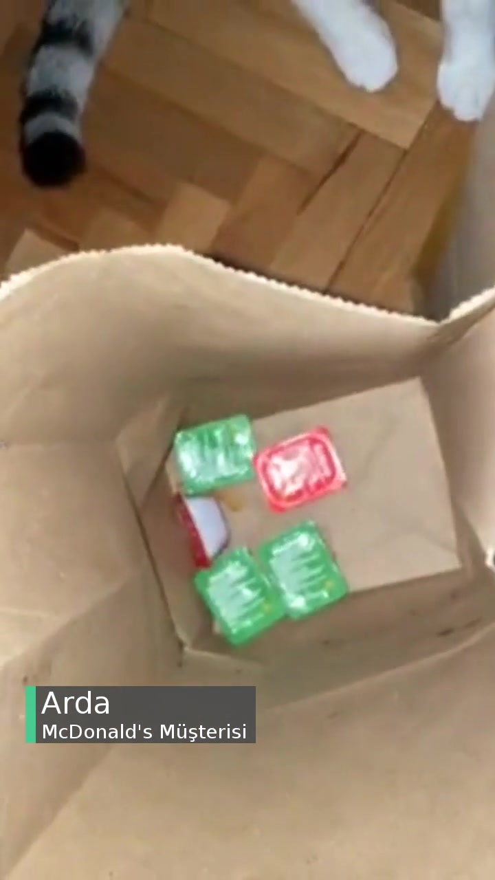 Nidapark McDonald's hep eksik ve yanlış videonun kapak resmi