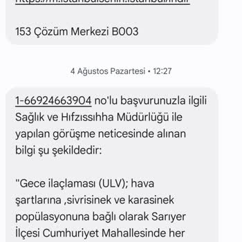 İstanbul'da İlaçlama Eksikliği: Çocuklarımız Sivrisinek Mağduru