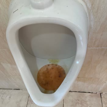 Risus Beach Resort'ta Kötü Hijyen, Arızalı Asansör Ve Yetersiz Hizmet Deneyimi