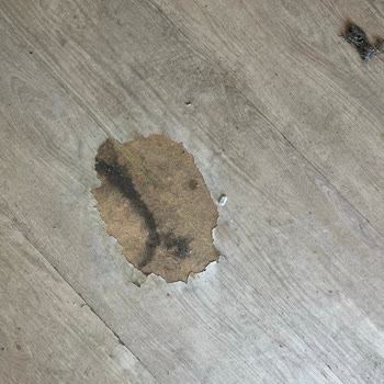 Risus Beach Resort'ta Kötü Hijyen, Arızalı Asansör Ve Yetersiz Hizmet Deneyimi