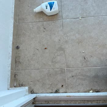 Risus Beach Resort'ta Kötü Hijyen, Arızalı Asansör Ve Yetersiz Hizmet Deneyimi