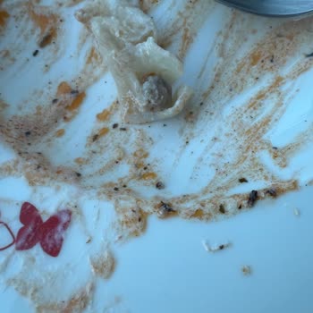 Süper Fresh Mantıda Kıyma Yok, Sadece Hamur Ve Tatsız Bir Ürünle Karşılaştım