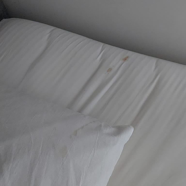 İnci Suit Armutlu Ev Çok Pis Ve Eşyalar Yetersizdi