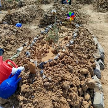 Mezarlıkta Yakınımızın Mezarına Yapılan Müdahalelerden Rahatsızız