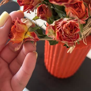 Bayat Ve Kurumuş Çiçek Teslimatı Sonrası Yetersiz Çözüm Ve İade Süreci