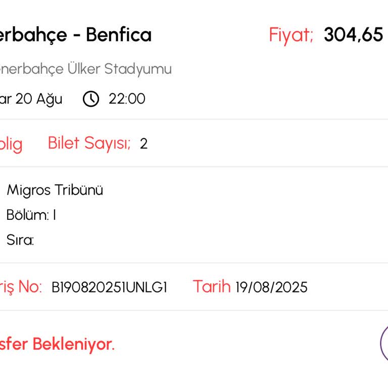 Bilet Teslim Edilmedi, Mağduriyet Yaşıyorum!
