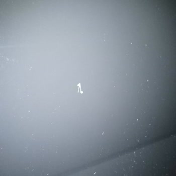 Dacia Sandero'da Garanti Kapsamında Boya Atması Sorunu Ve Mağduriyet