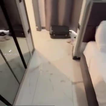 Tatilbudur Ve Newant Olympos Otel Hüsranı