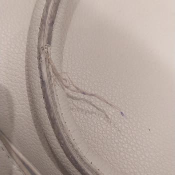 Kısa Sürede Yıpranan Çanta İçin İade Talebim Reddedildi