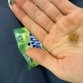 Gold Harvest Kuruyemiş Kurutulmuş Meyve İçinden Kıl Çıkması ve Müşteri Hizmetlerinden Yanıt Alamamak