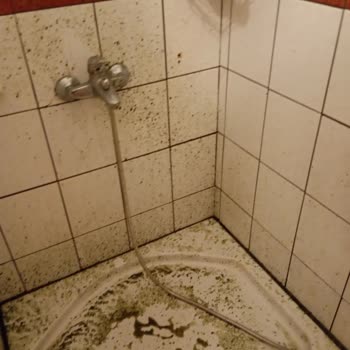 Hayal Kırıklığıyla Sonlanan Tatil: Temizlik Ve Hizmet Sıfır