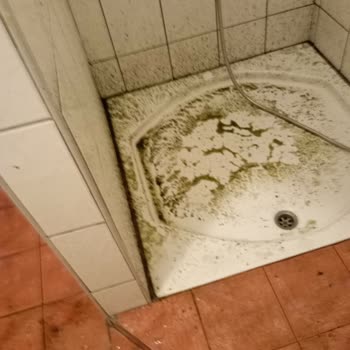 Hayal Kırıklığıyla Sonlanan Tatil: Temizlik Ve Hizmet Sıfır